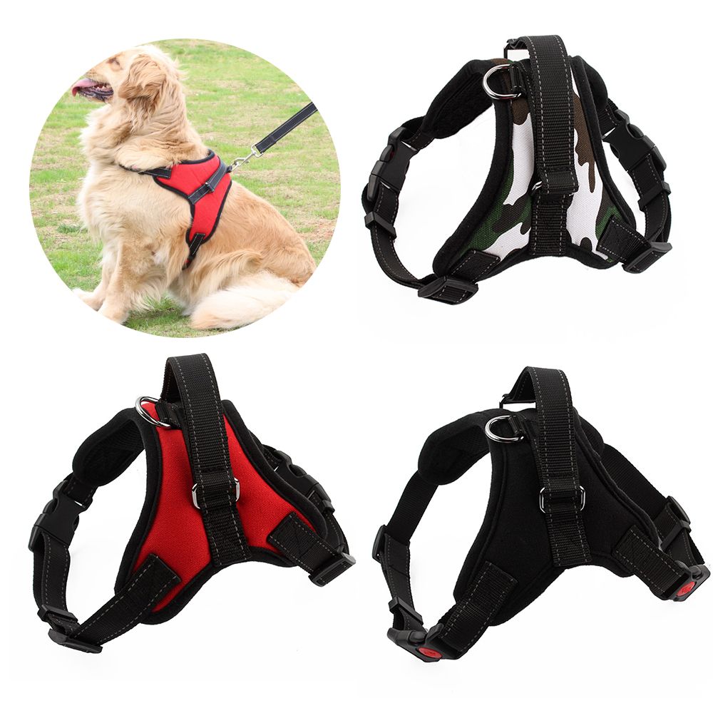 dog harnesses for sale