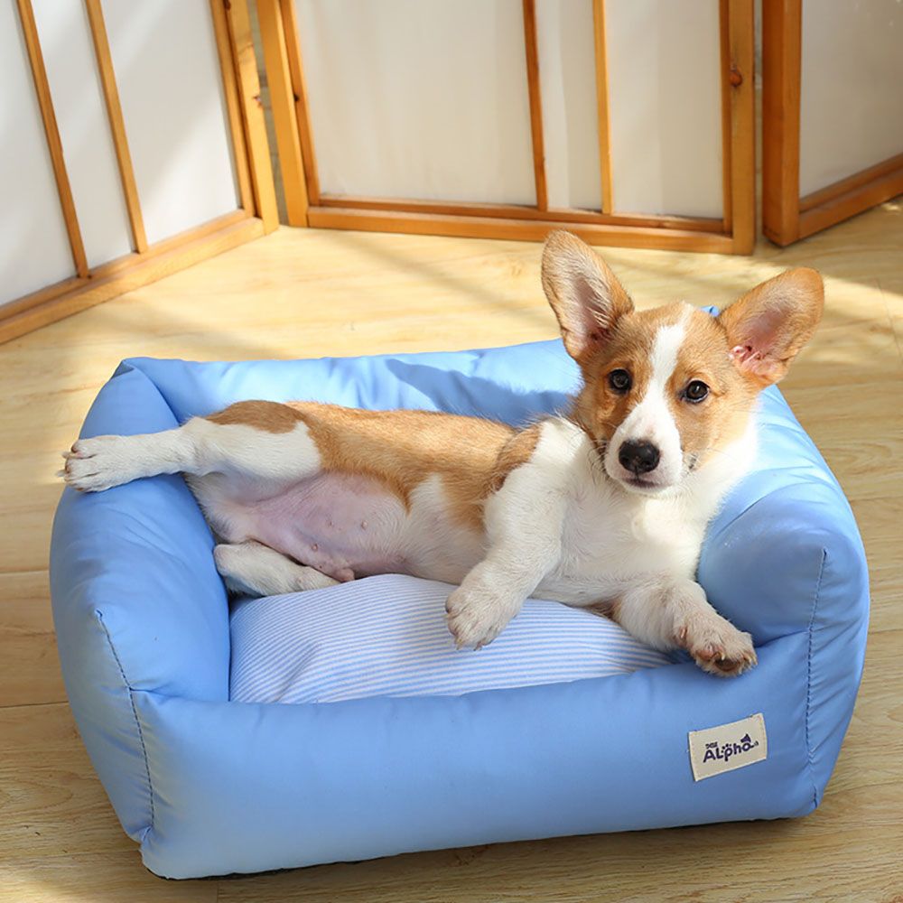 dog sofa medium