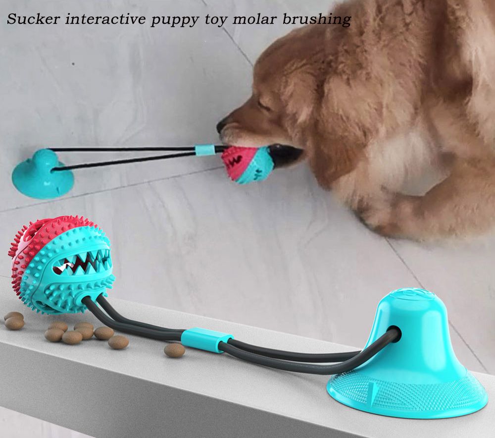 suction cup dog toy