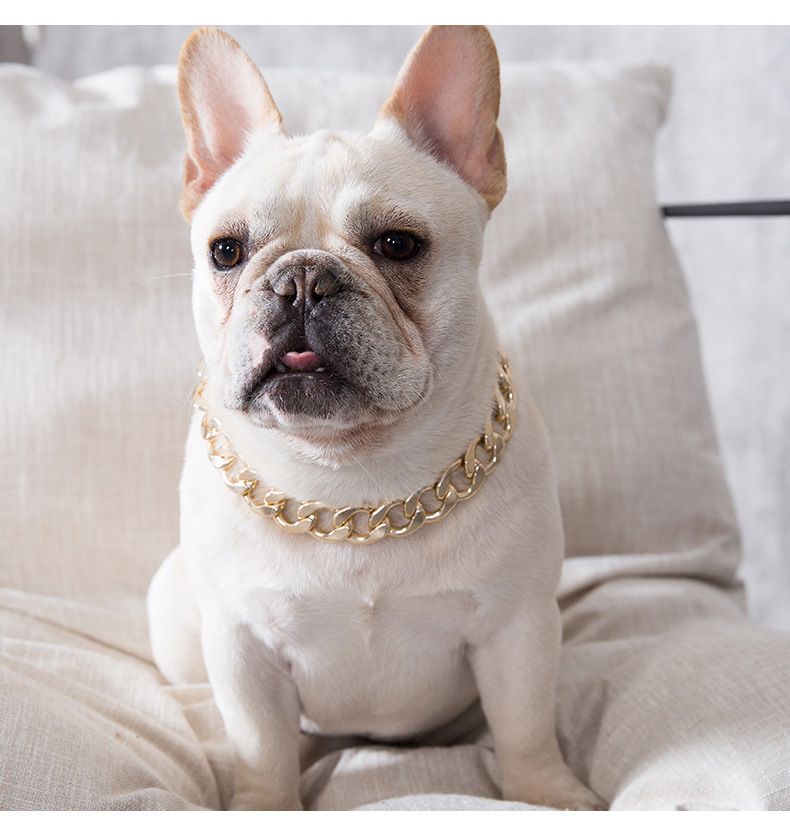 Wholesale Stylish And Cheap BRAND DHL Shipping Bulldog Dog Snack Chain