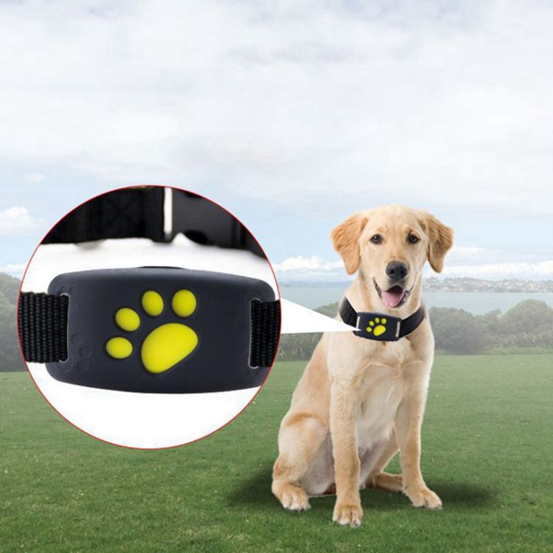 mini dog gps tracker
