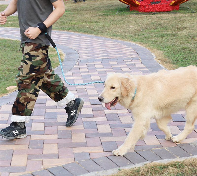 dog training rope