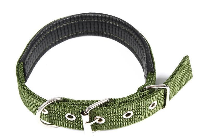 dog collar webbing wholesale