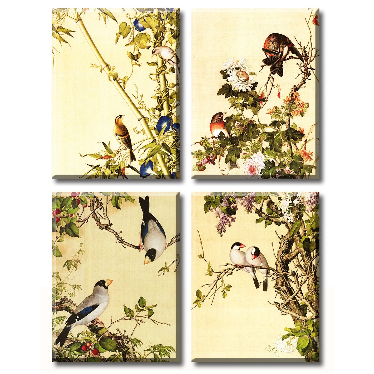 16++ Most Birds canvas wall art images information