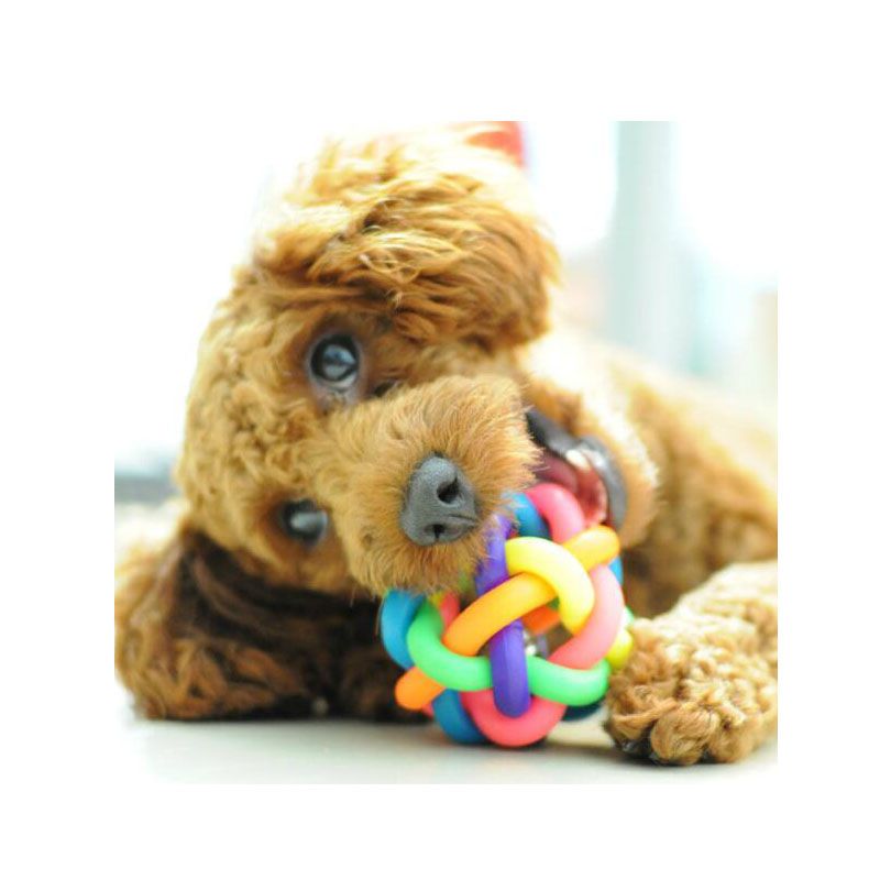 interactive dog ball