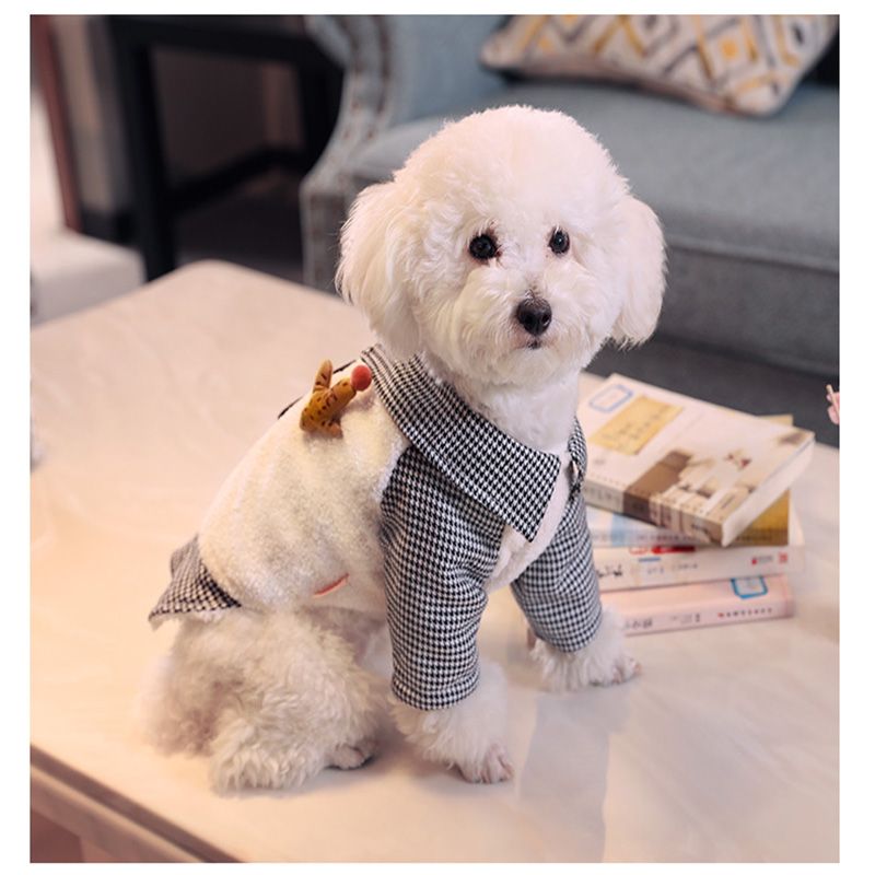 peluches de perros chihuahuas