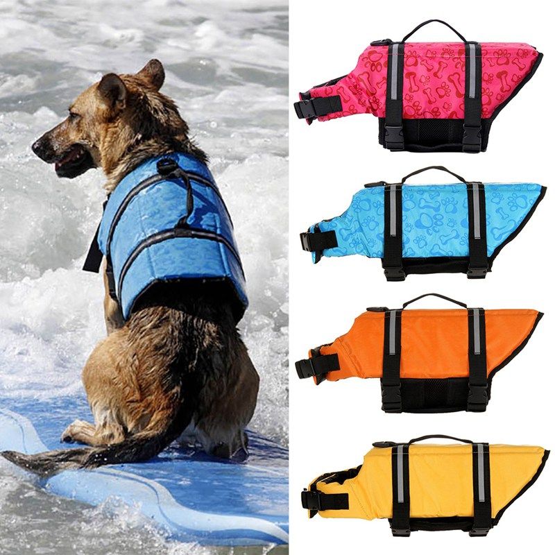 best dog harness for swimming