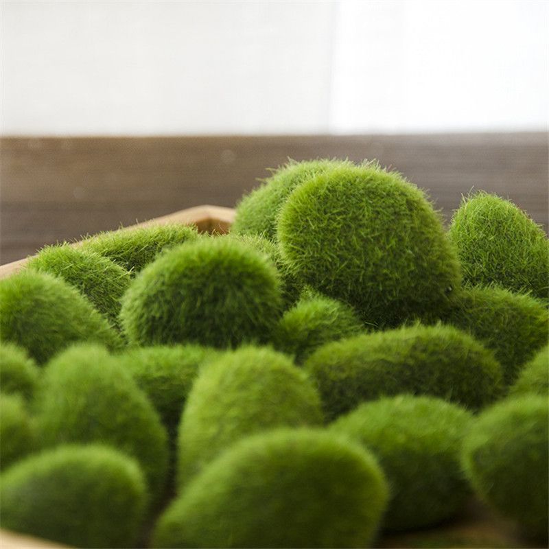 2019 1 Bag Artificial Green Moss Ball Fake Stone Simulation Plant