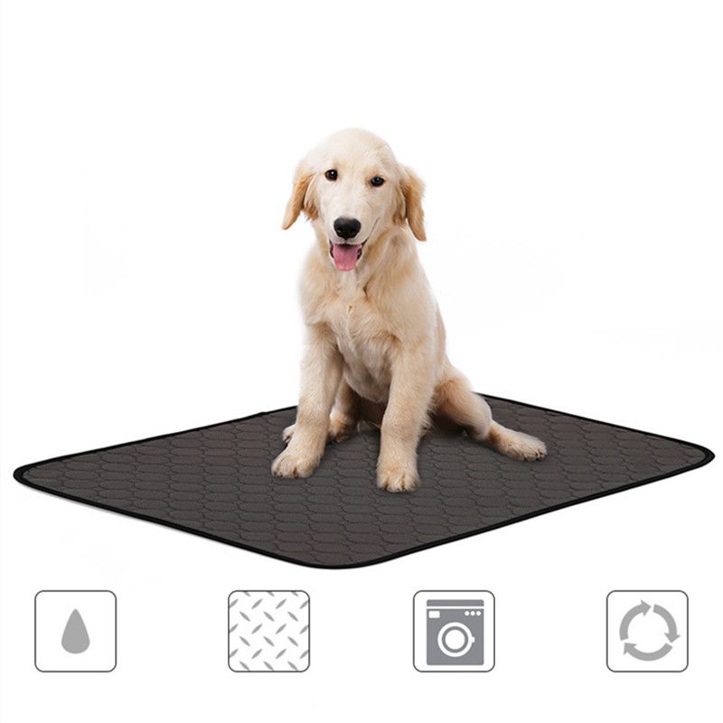dog mats for home