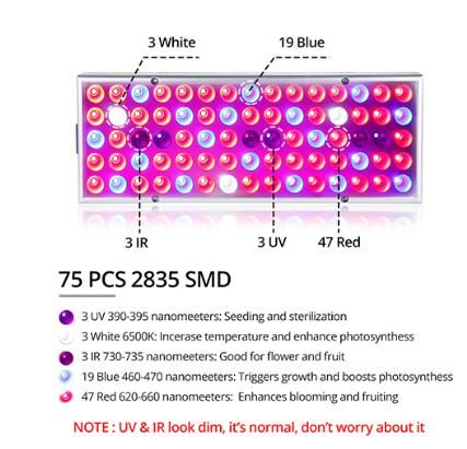 Wtyczka UE 75leds.