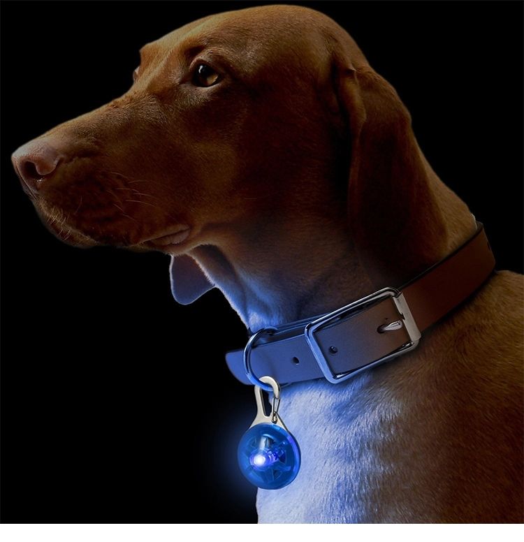 flashing dog tag
