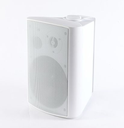 2019 High Performance Indoor Outdoor Speakers Bluetooth Wifi