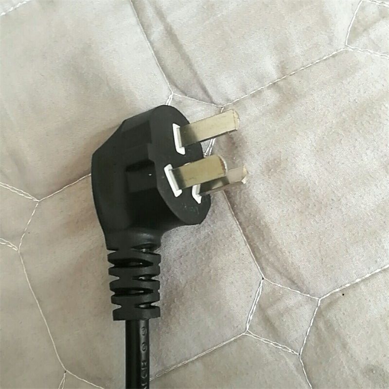 220V AU plug