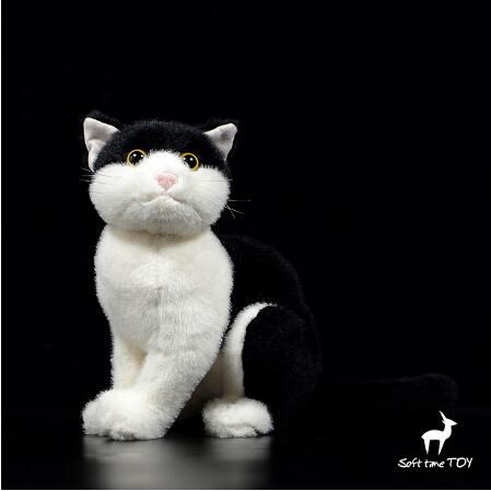 cats dolls