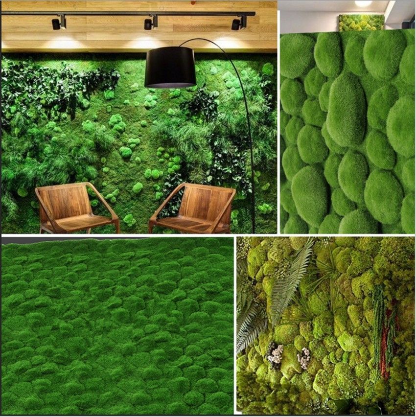 50g LOVIVER Wall Fake Decorative Moss Realistic Ornaments for Grass Green 