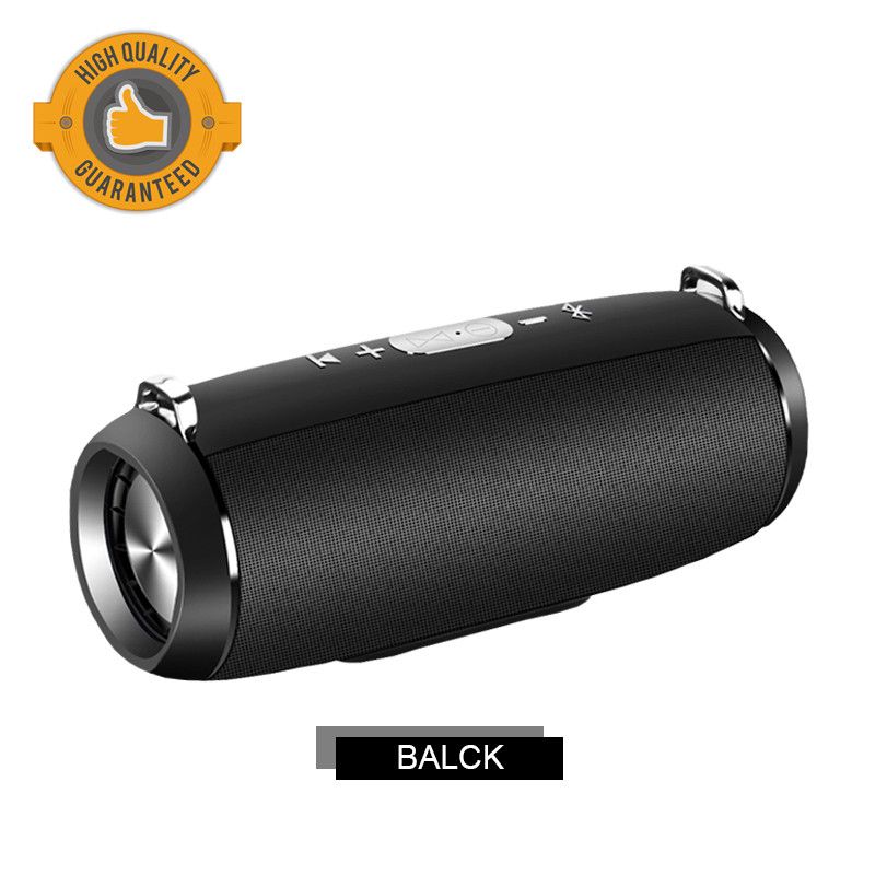 mi bluetooth speaker with fm radio