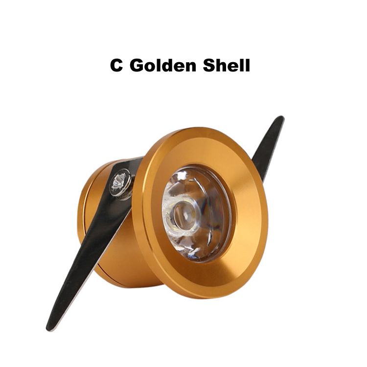 C Golden Shell