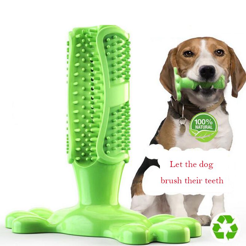 juguetes cachorros dientes