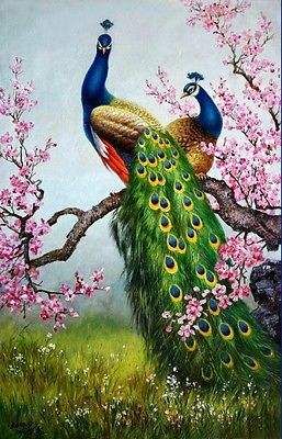 wsi-03085 Modern Animal Phoenix Peacock Handpainted Handcrafts Art Oil Painting & HD Print Art Oil wsi-03085 Modern Animal Phoenix Peacock Handpainted Handcrafts Art Oil Painting & HD Print Art Oil