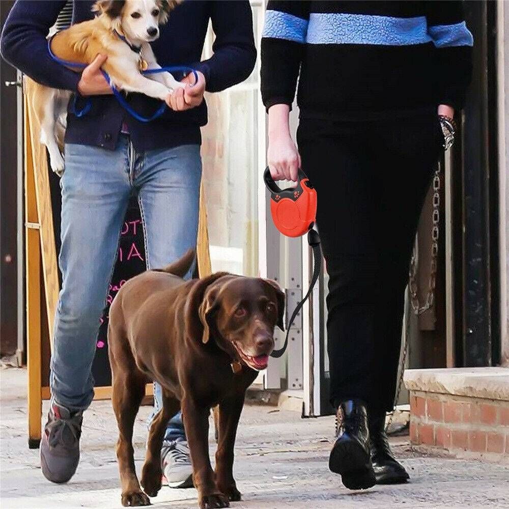 8m extendable dog lead