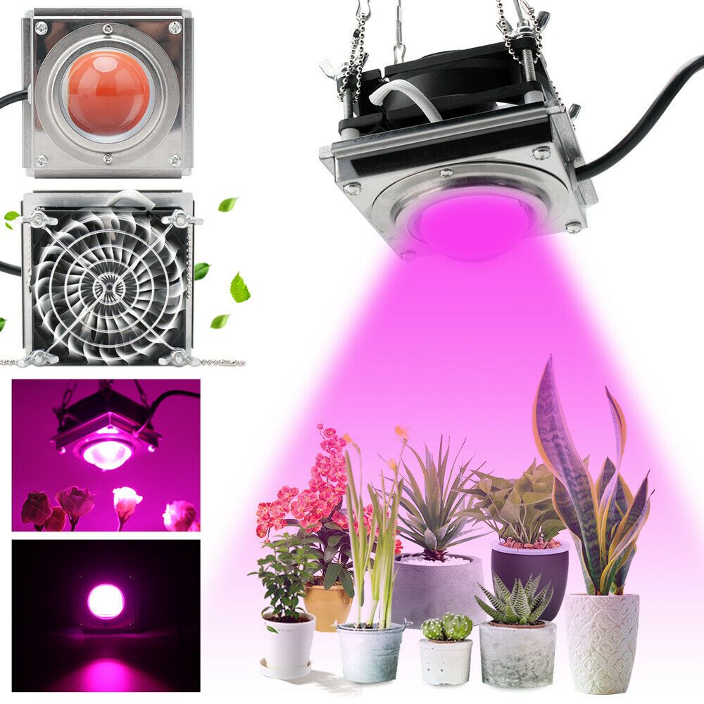 mobestech Cultivez la lámpara de crecimiento de lámpara de fábrica de la barra luminosa 600 W LED para la iluminación de falsas de las plantas