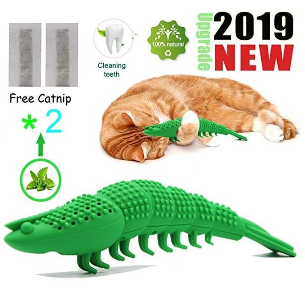 chew toy for teething kitten