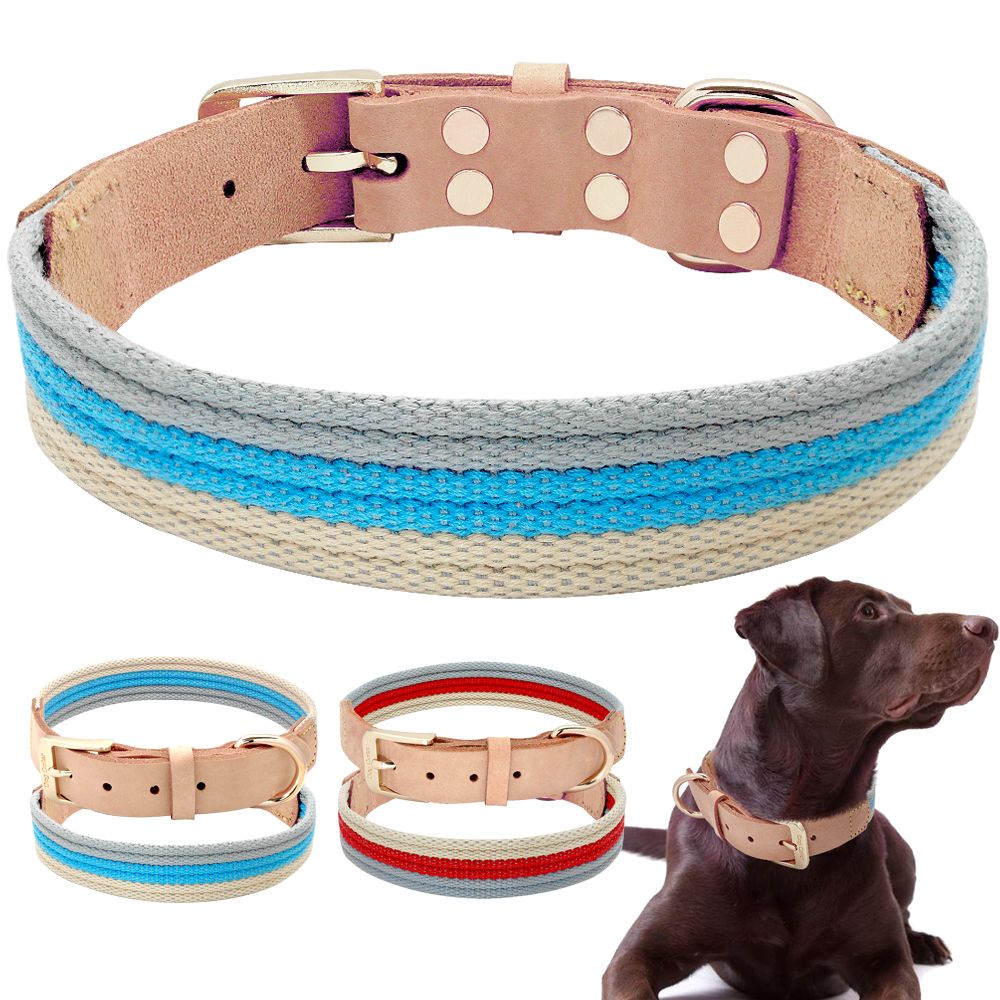 dog collar webbing wholesale