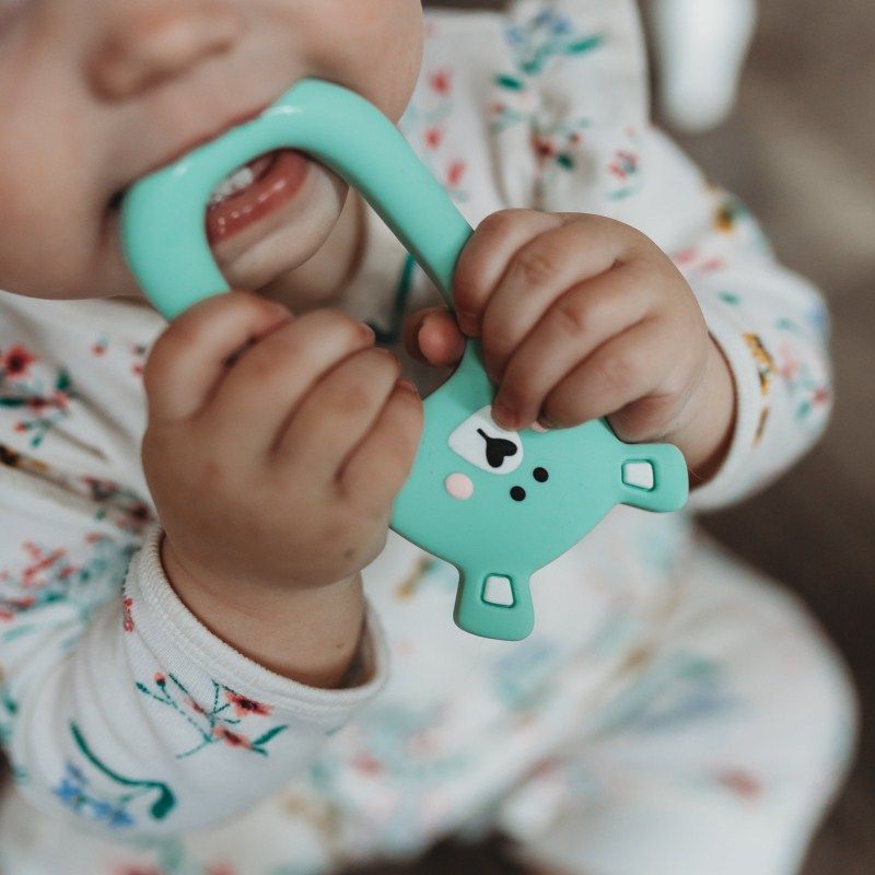 Compre Mordedor De Silicona Para Bebé Lindo Oso Animal Masticar Bebé Bebé Dientes Del Niño Juguete DIY Masticar Collar Herramienta De Cuidado A 1,5 € Del Jfyshop | DHgate.Com