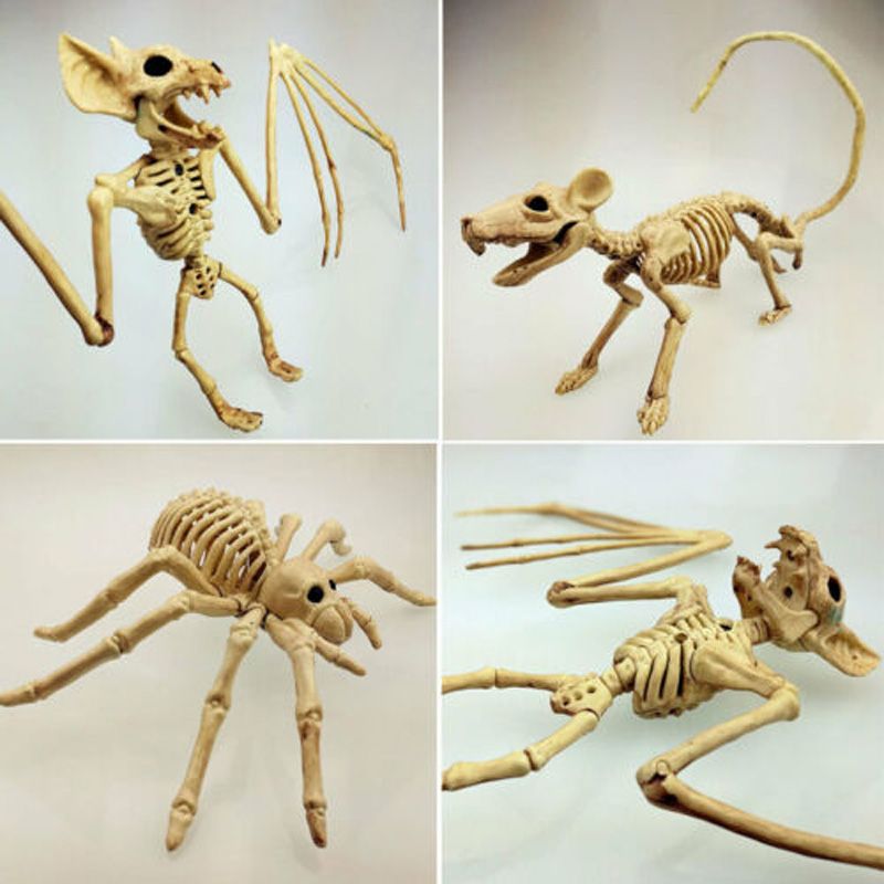 2019 Pudcoco Horror Skeleton Cat Dog Mouse Prop Bat Bones