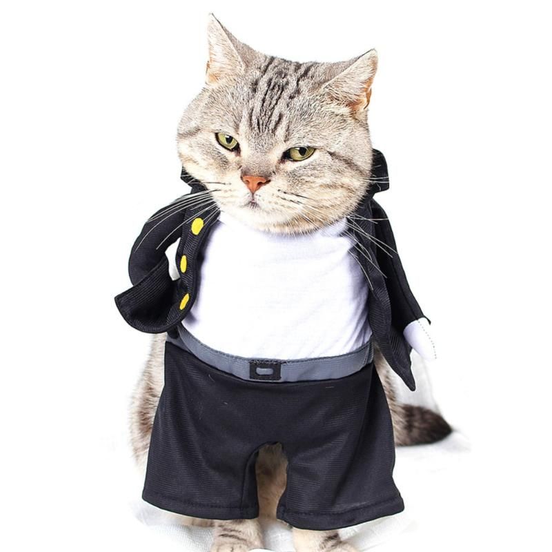 21 Funny Cats Clothes Cosplay For Dog Costume Pets Products Animal Clothes Kitten Ubranka Dla Kota Vetement Pour Chat From Carmlin 15 04 Dhgate Com 21 Funny Cats Clothes Cosplay For Dog Costume Pets Products Animal Clothes Kitten Ubranka Dla Kota Vetement Pour Chat From Carmlin 15 04 Dhgate Com