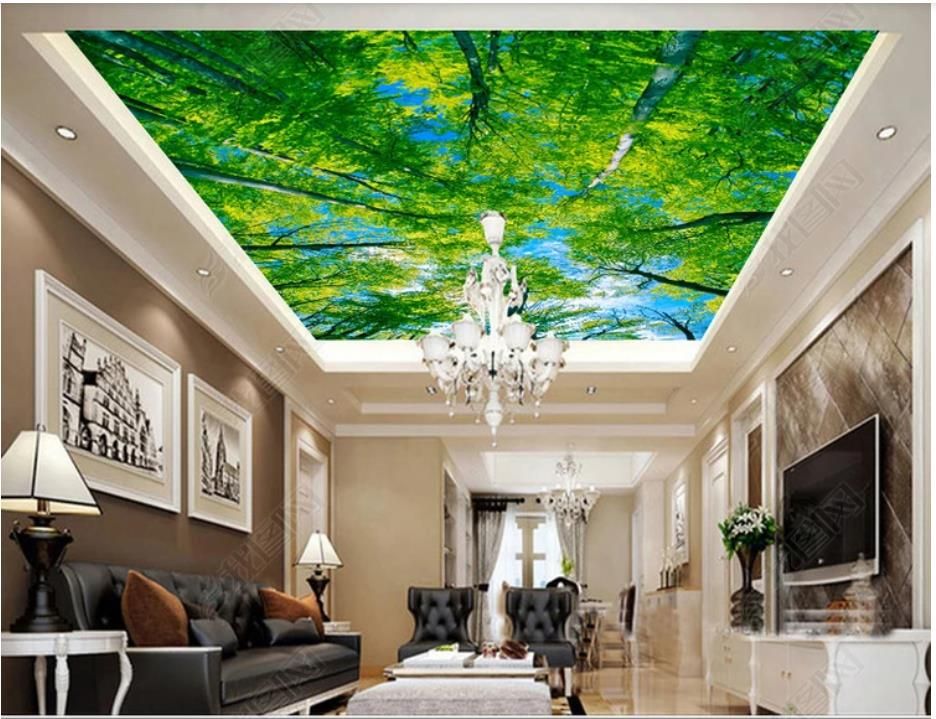 Compre Custom Large Ceiling Zenith Mural Photo Wallpaper
