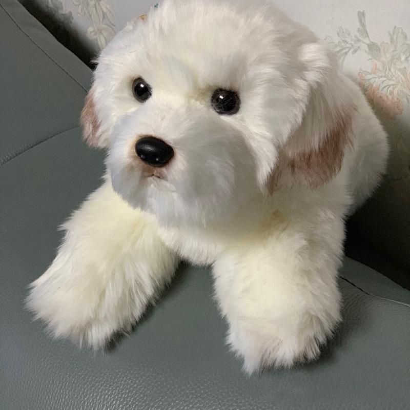 maltese dog plush