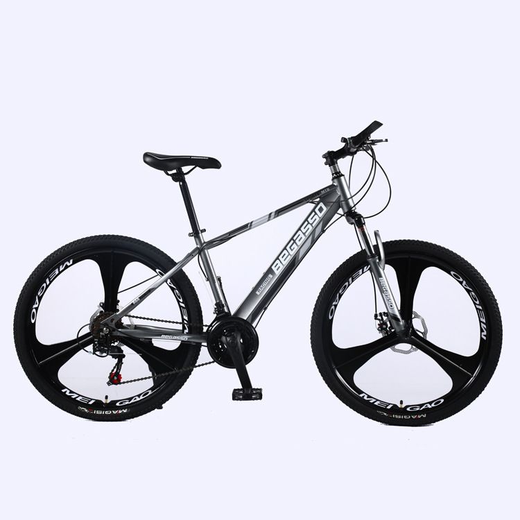 adult pedal bike