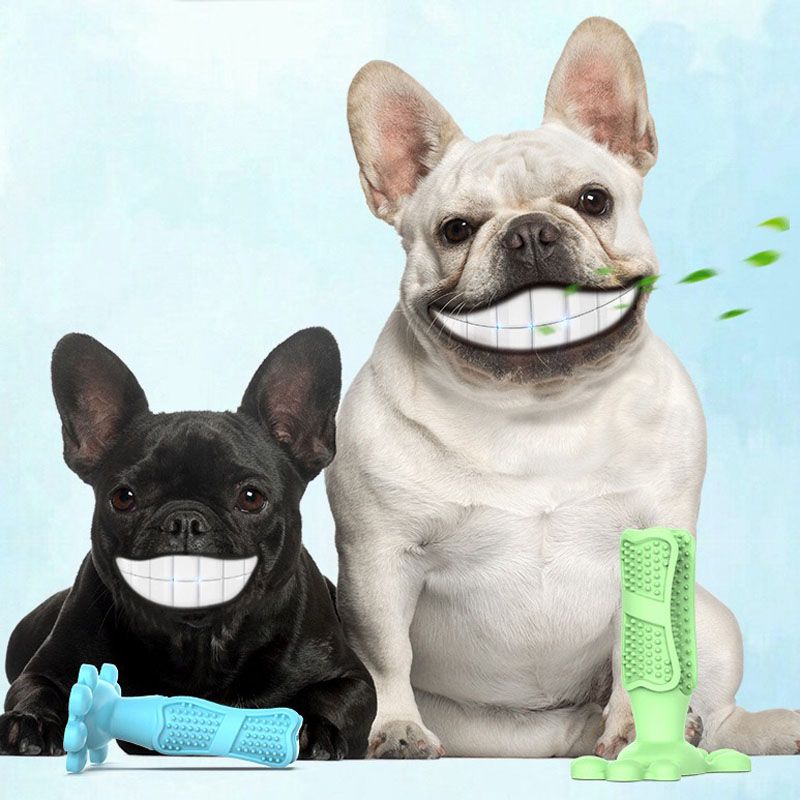 plastic chew toys for dogs