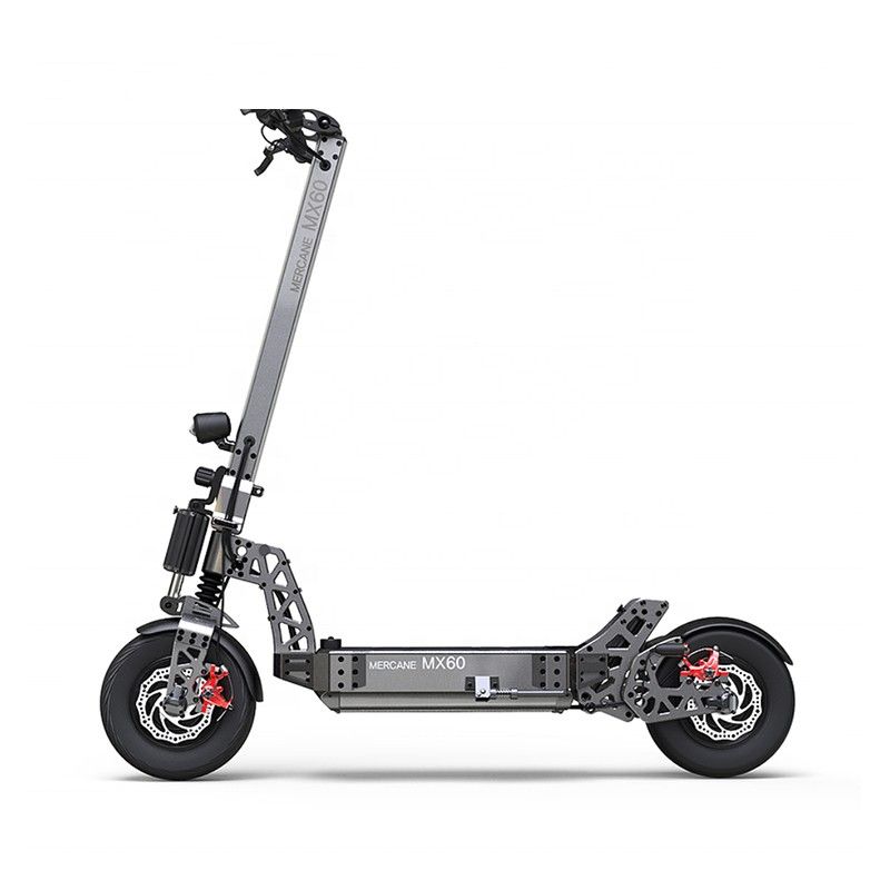 adult's electric scooter