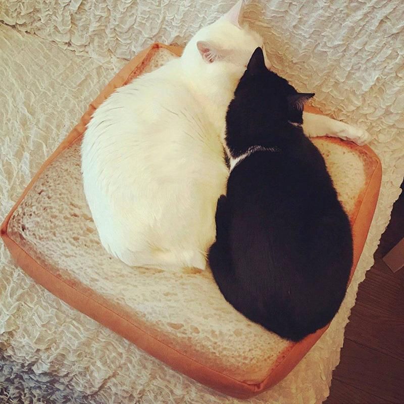 bread bed for cats