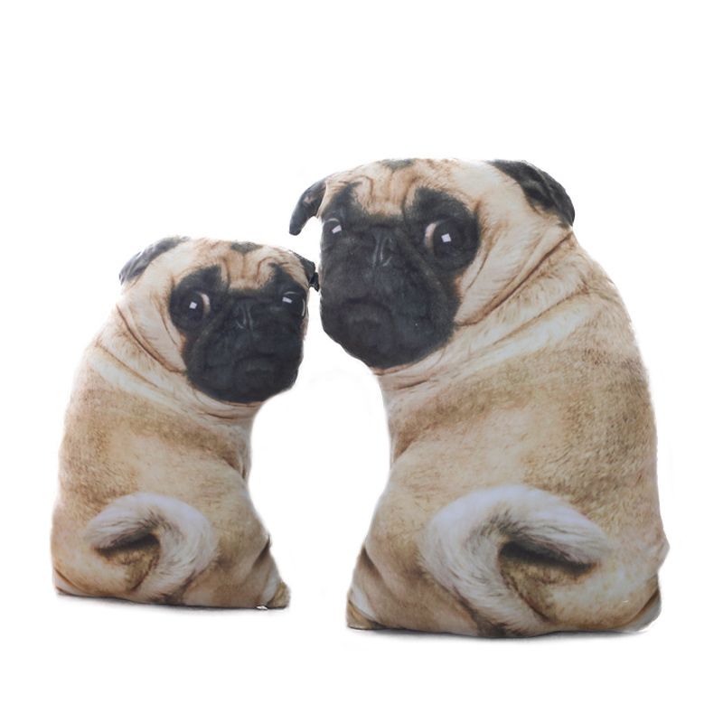 pug teddy