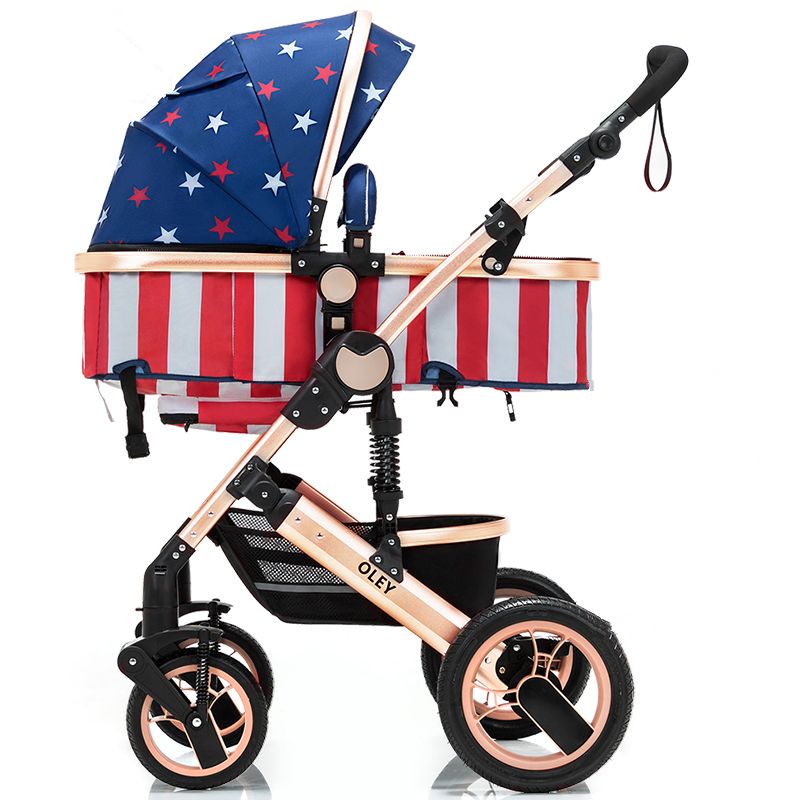 oley baby stroller