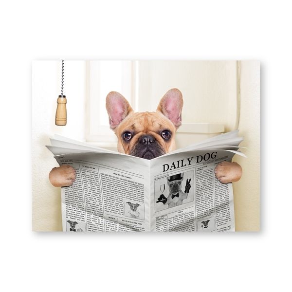 Kupit Optom Francuzskij Buldog Sobaka Sidit Na Tualet I Chtenie Zhurnala Canvas Art Poster Print Smeshnoj Art Kartina Kartina Vannoj Komnaty Dekor Sten Otdesignerwallet1 V Kategorii Risovanie 289 Rub Na Ru Dhgate Com