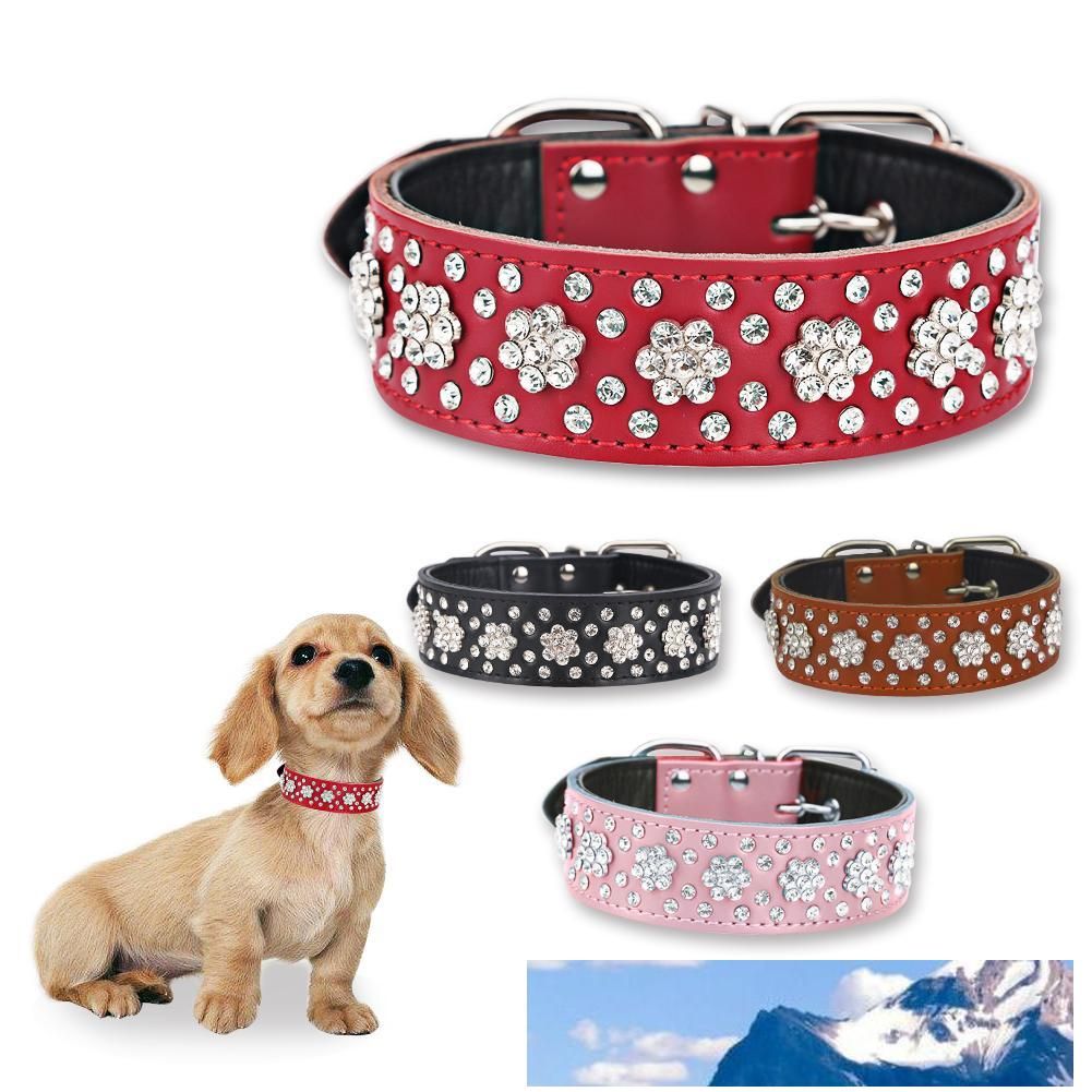 rhinestone collars for large dogs