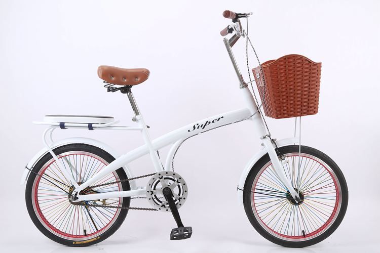 20 inch single speed bike