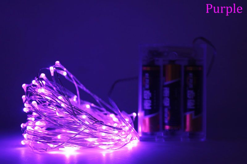 5m 50 Lights Purple