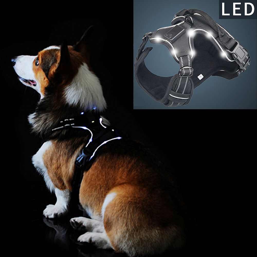 tail up harness