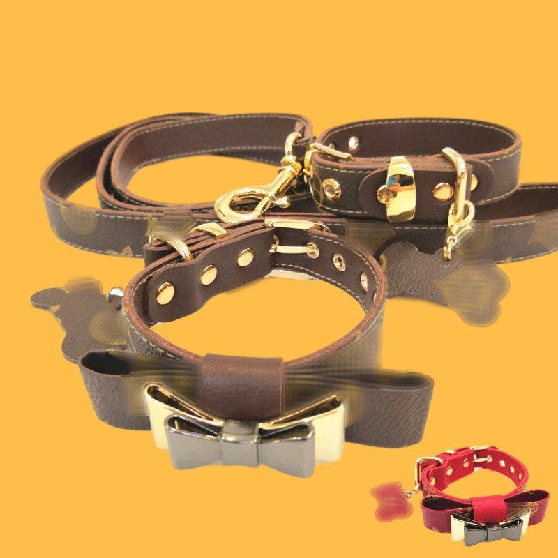 luxury pet collars