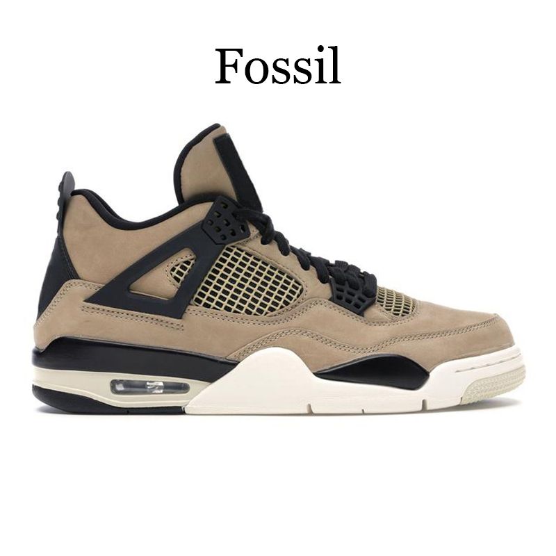Fossil 40-47