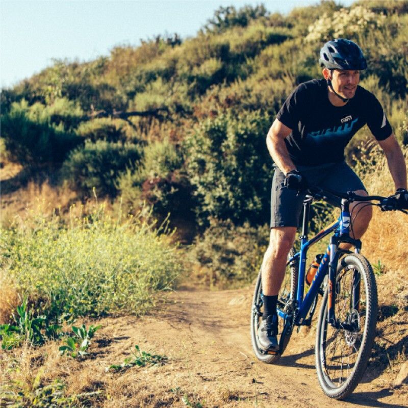 giant rincon disc 2015