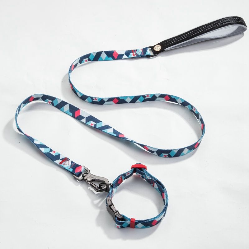 designer dog collars and leashes