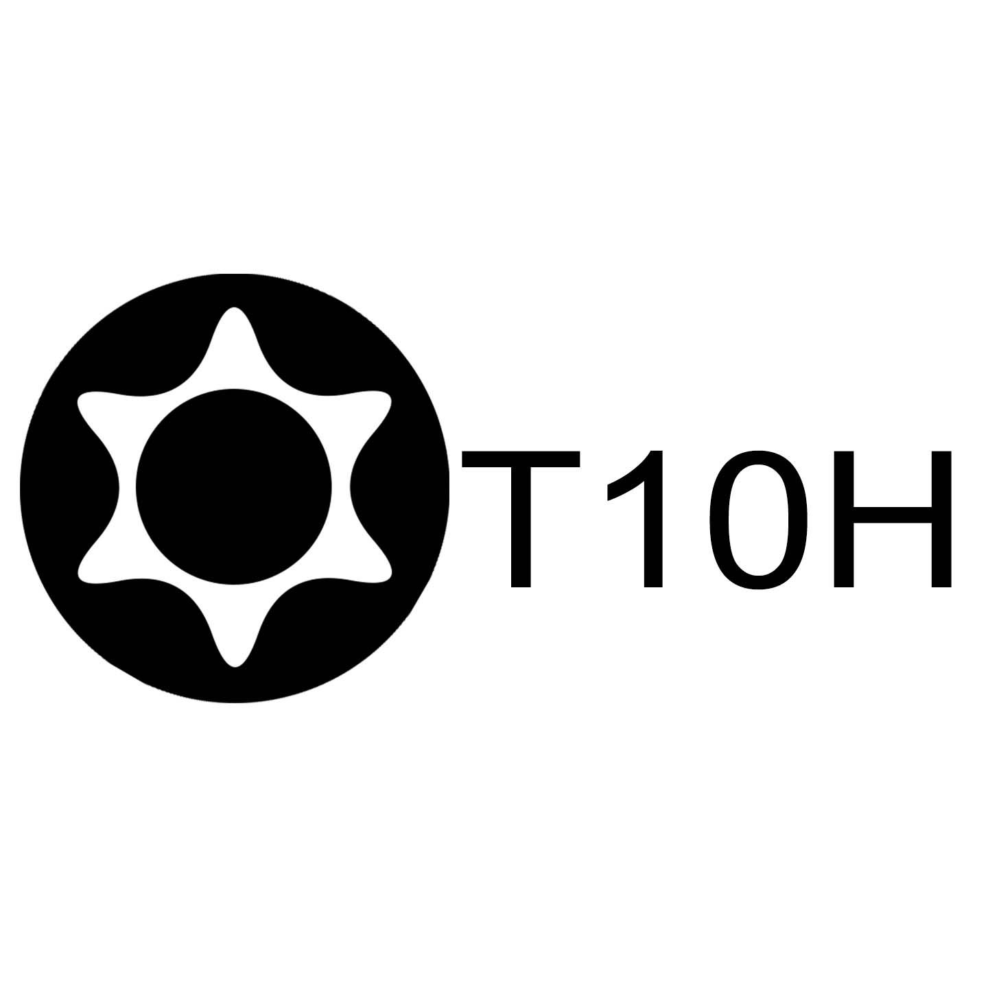 穴付きT10