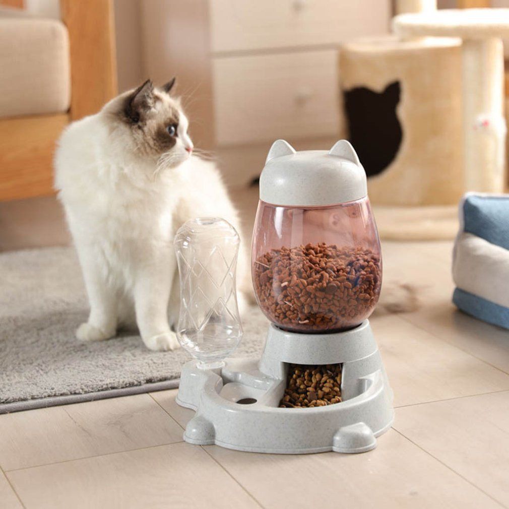 cat automatic feeder