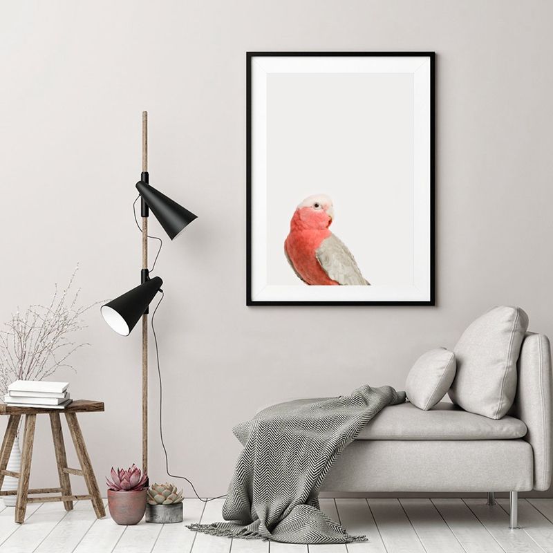 2020 Pink Parrot Print Tropical Wall Art Decor Nature Galah Parrot Poster Art Canvas Painting Animal Picture Home Room Wall Decor From Zhu793737893 6 69 Dhgate Com